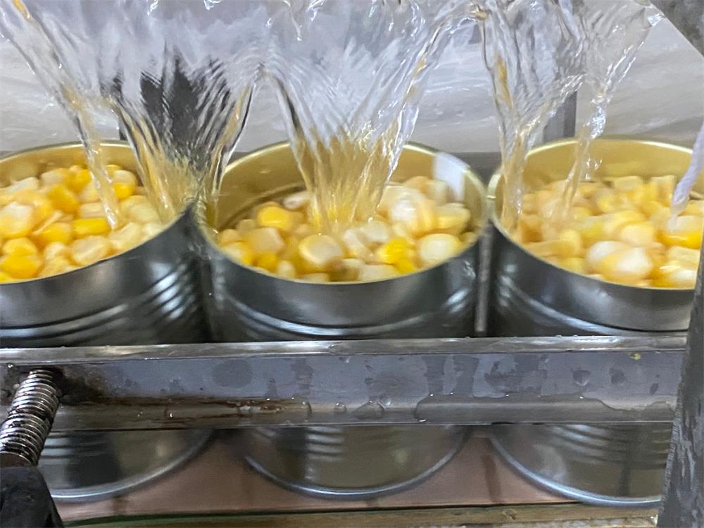 玉米装罐4_看图王.jpg