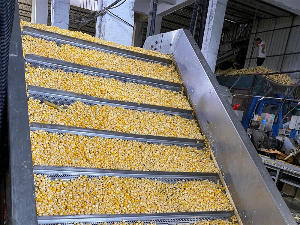 玉米脱粒1_看图王_副本.jpg