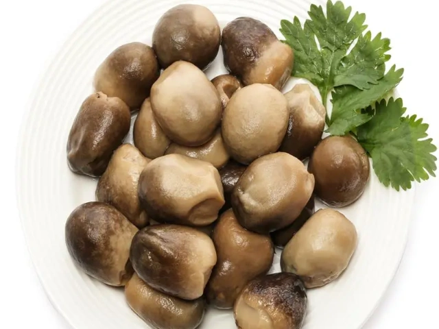 Warum Strohpilze aus der Dose wählen? Der ultimative Leitfaden zu Vorteilen, Eigenschaften und Verwendungsmöglichkeiten