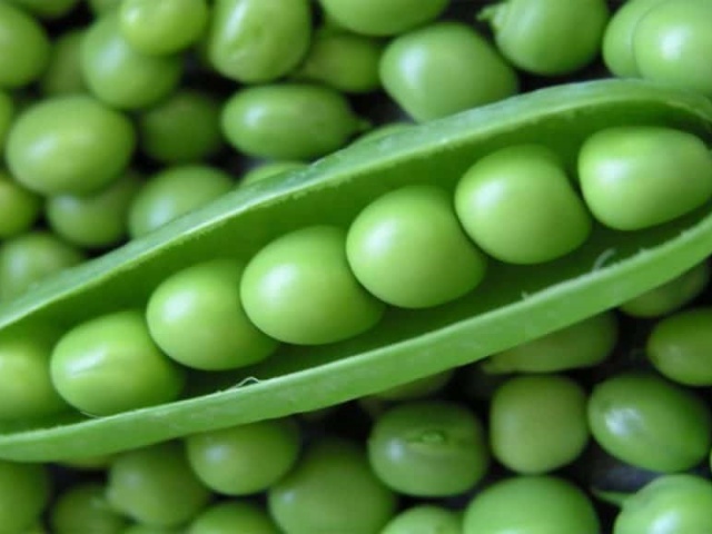 green peas green peas