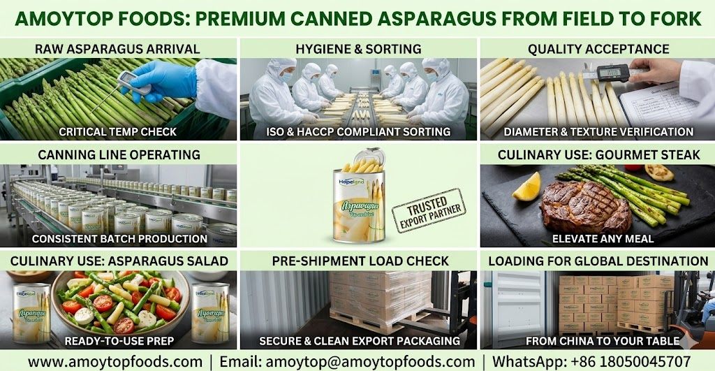 Canned Asparagus
