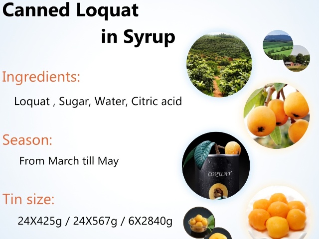 Canned Loquat in Syrup