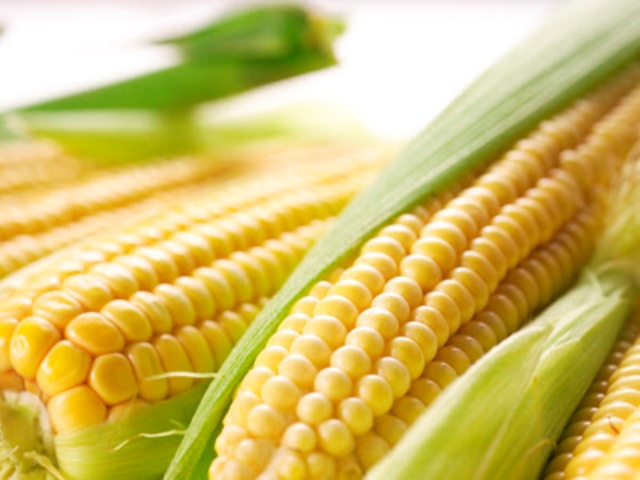 Sweet Corn