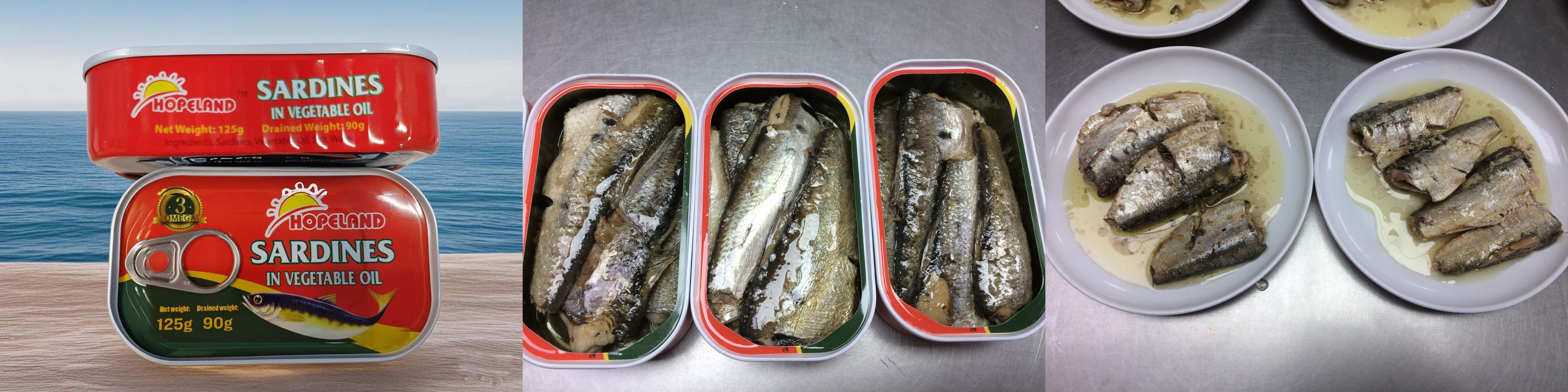 Canned Sardines in Oil