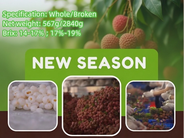 New Season 2026 of Canned Lychee New Season 2026 of Canned Lychee