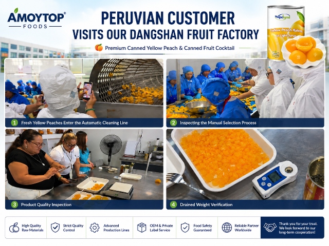 Why Did Our Peruvian Customer Visit Our Dangshan Fruit Factory? A Behind-the-Scenes Look at Premium Canned Yellow Peach and Canned Fruit Cocktail Why Did Our Peruvian Customer Visit Our Dangshan Fruit Factory? A Behind-the-Scenes Look at Premium Canned Yellow Peach and Canned Fruit Cocktail