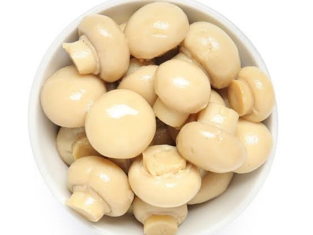 Where Can You Source Canned Mushrooms in 2026? Where Can You Source Canned Mushrooms in 2026?