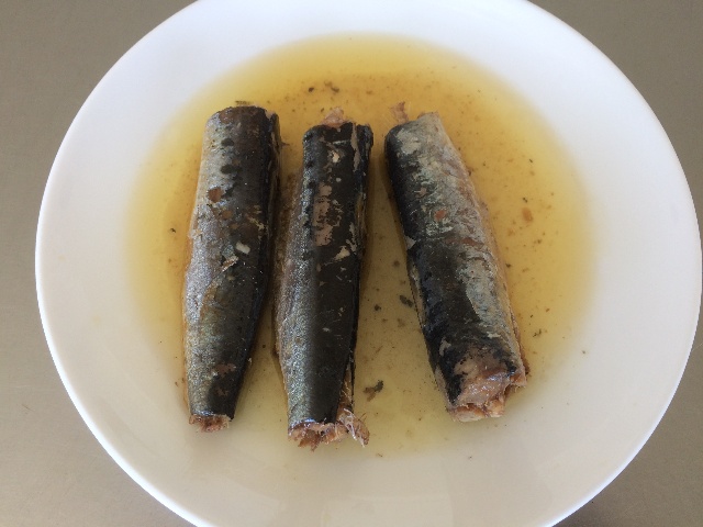 Sardinops melanostictus