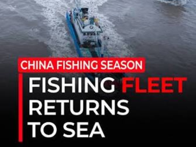 How Does China’s Fishing Season Impact the Canned Fish Industry and Global Seafood Supply?