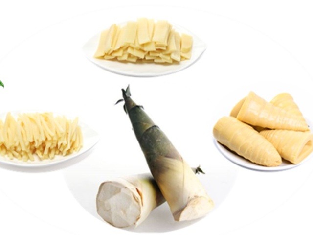 Looking for Premium Canned Bamboo Shoots? Explore Various Shapes & Packaging Options!
