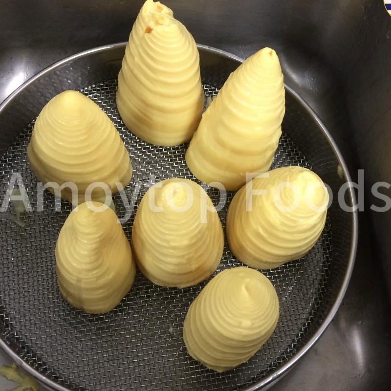 Bamboo shoots Bamboo shoots