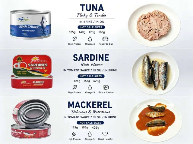 Por que atum, sardinha e cavala enlatados são opções inteligentes para refeições do dia a dia? Por que atum, sardinha e cavala enlatados são opções inteligentes para refeições do dia a dia?