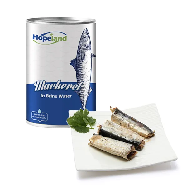 Guia de Venda por Atacado de Peixe Enlatado para Compradores B2B Inteligentes Guia de Venda por Atacado de Peixe Enlatado para Compradores B2B Inteligentes