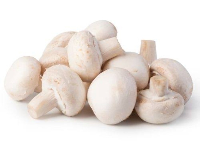 Einkaufsratgeber für Champignons in Dosen: Qualität, Ausbeute & Kosten