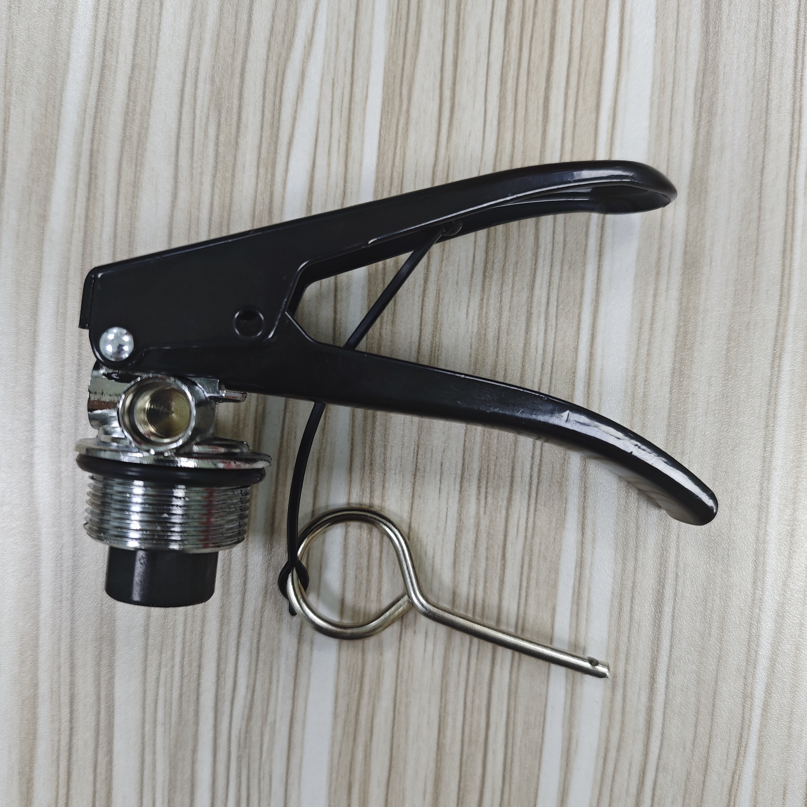 Fire Extinguisher Brass Valve Assembly