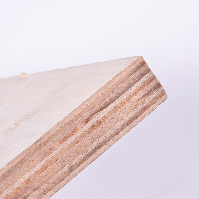 CDX plywood Manufacturers, CDX plywood Factory, Supply CDX plywood