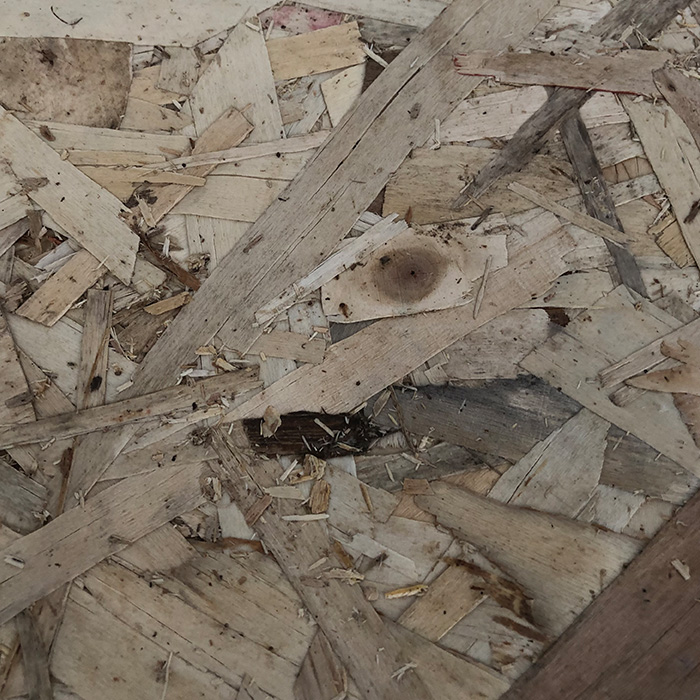 poplar OSB Manufacturers, poplar OSB Factory, Supply poplar OSB