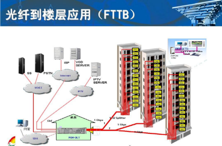 Members of the passive optical network family