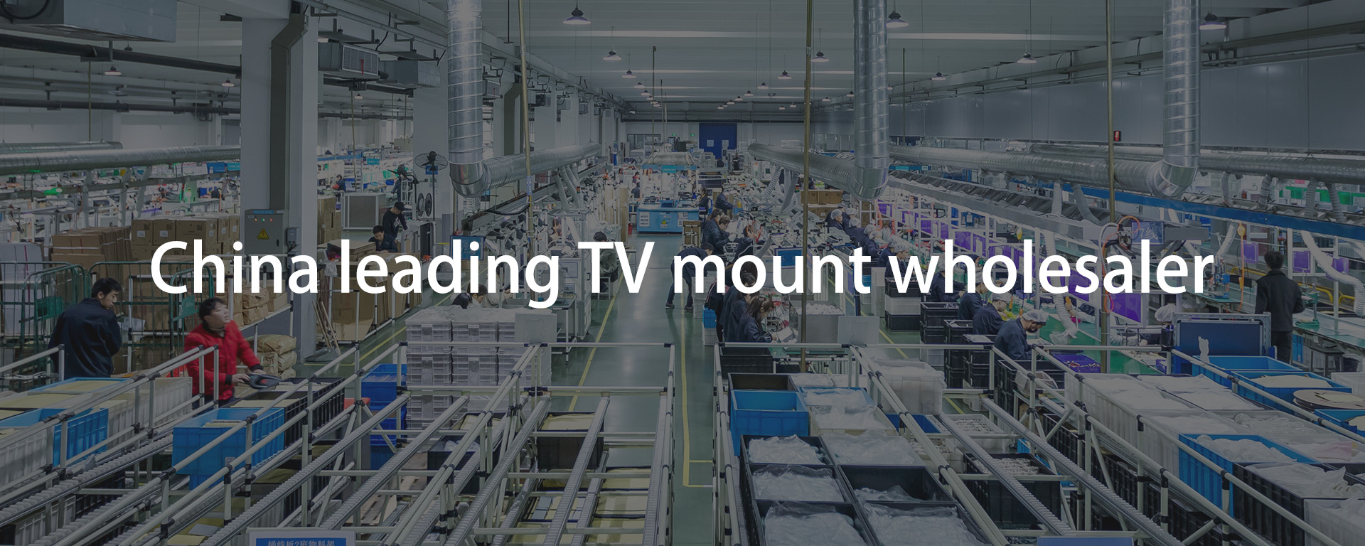 2455森江banner 拷贝.jpg