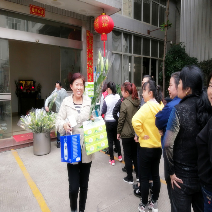 Dia da Mulher (8 de março)