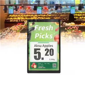 Thẻ giá kỹ thuật số LCD Sintop 10,1 inch