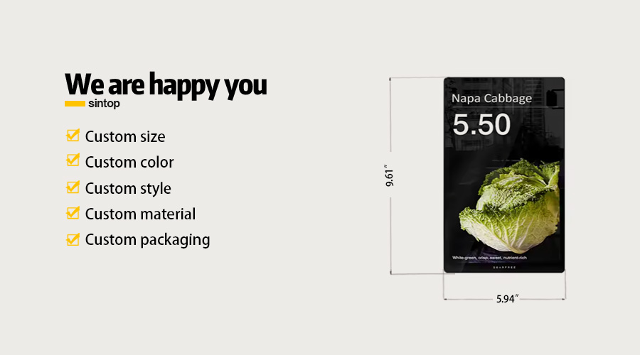 10.1 Inch Full Color LCD Price Display with Media Function