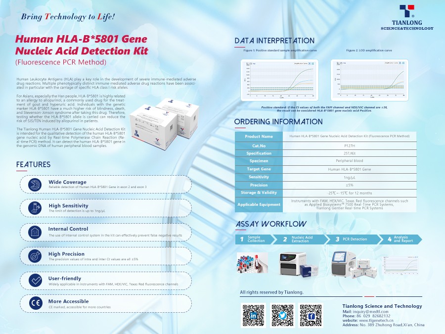 Kit de Detecção de Ácido Nucleico de Gene HLA-B*5801 Humano Tianlong