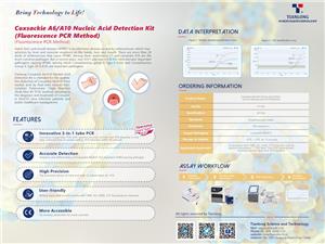 Kit de détection d'acide nucléique Tianlong Coxsackie A6/A10