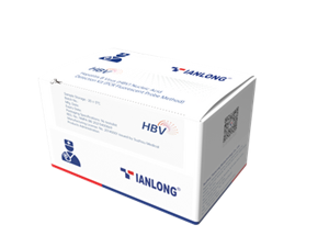P101H - B형 간염 바이러스(HBV) 핵산 검출 키트
