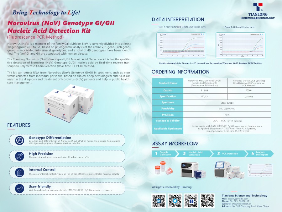 Kit de detección de ácido nucleico del genotipo GI/GII del norovirus de Tianlong (NoV)
