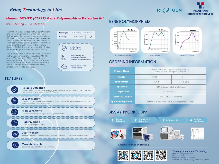 Kit de détection du polymorphisme du gène Tianlong Human MTHFR (C677T)