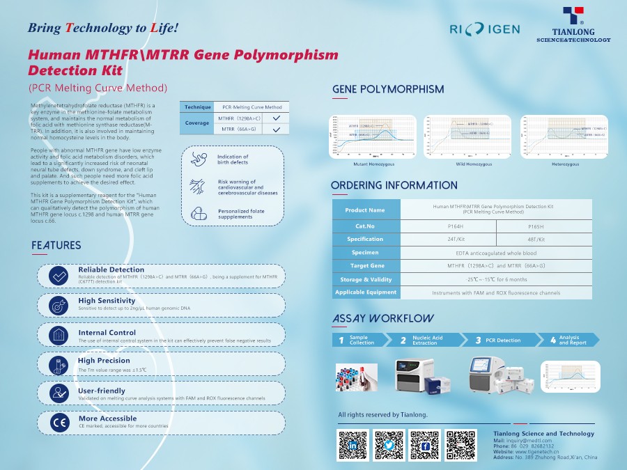 Kit de detección de polimorfismo del gen MTHFRMTRR humano de Tianlong