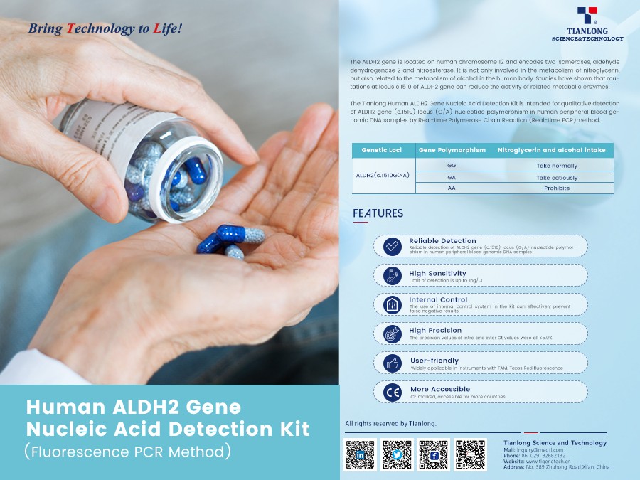 Kit de détection d'acide nucléique du gène humain ALDH2 de Tianlong