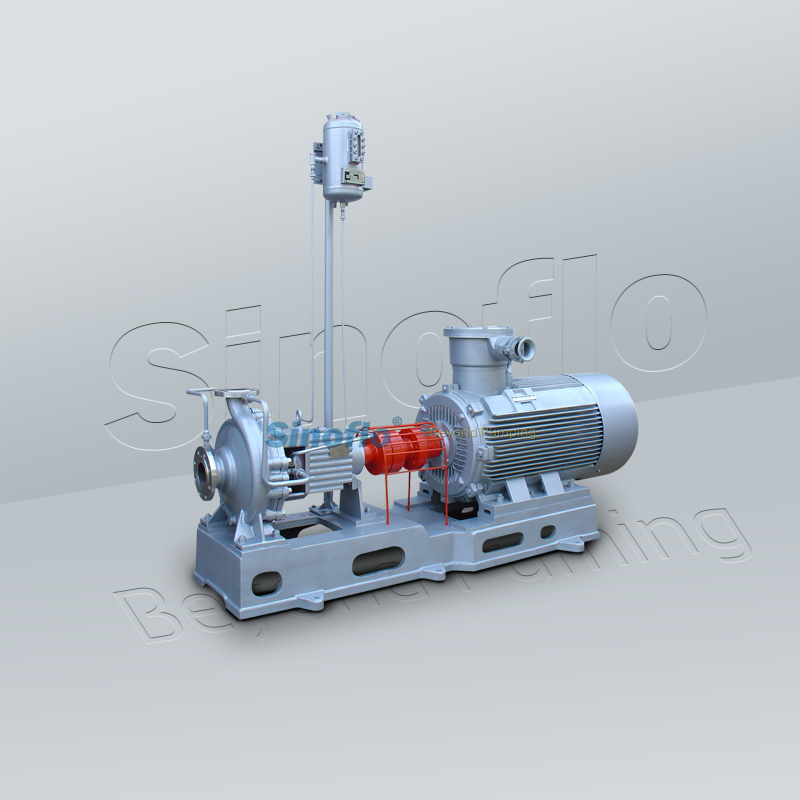 Chemical Processing Pump OH1