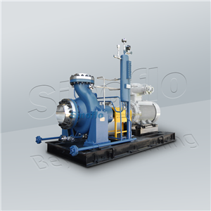 Chemical Processing Pump OH2