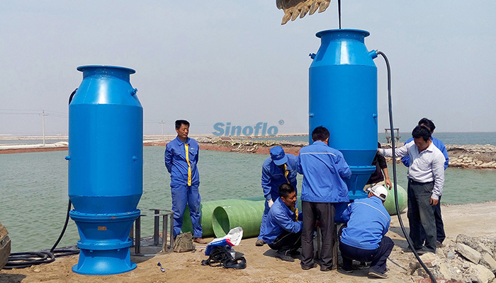 Dongying Salt Industry Axial Flow Submersible Pump