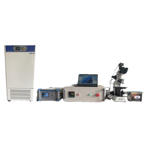 ASTM D6079 Đánh giá độ bôi trơn của nhiên liệu diesel bằng HFRR