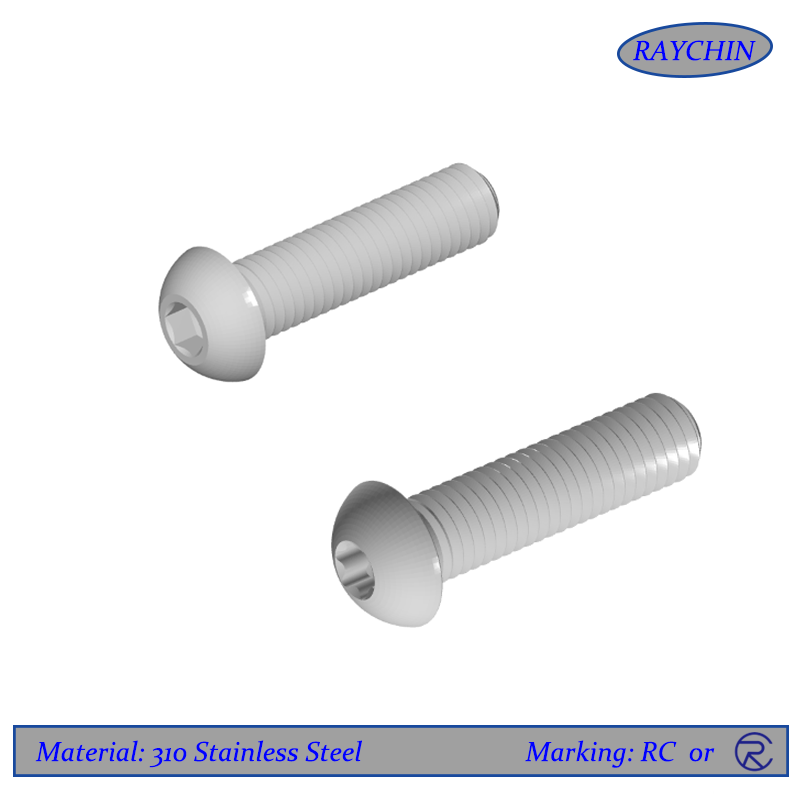 310 Stainless Steel Button Head Cap Screws