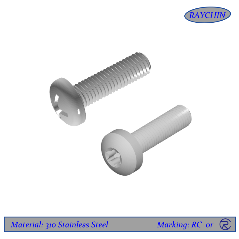 310 Stainless Steel Pan Head Screws