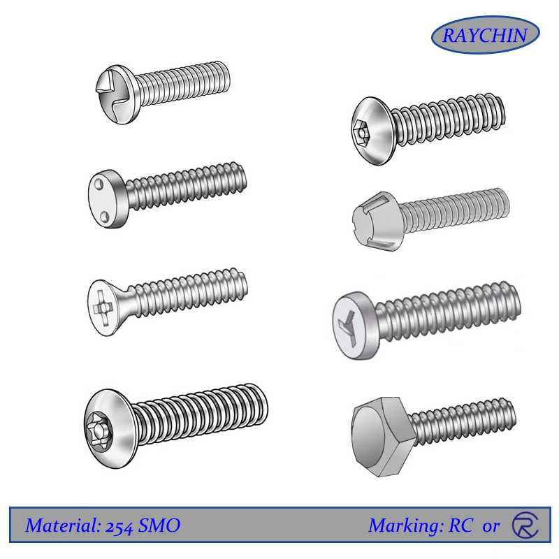 254 SMO Security Screws