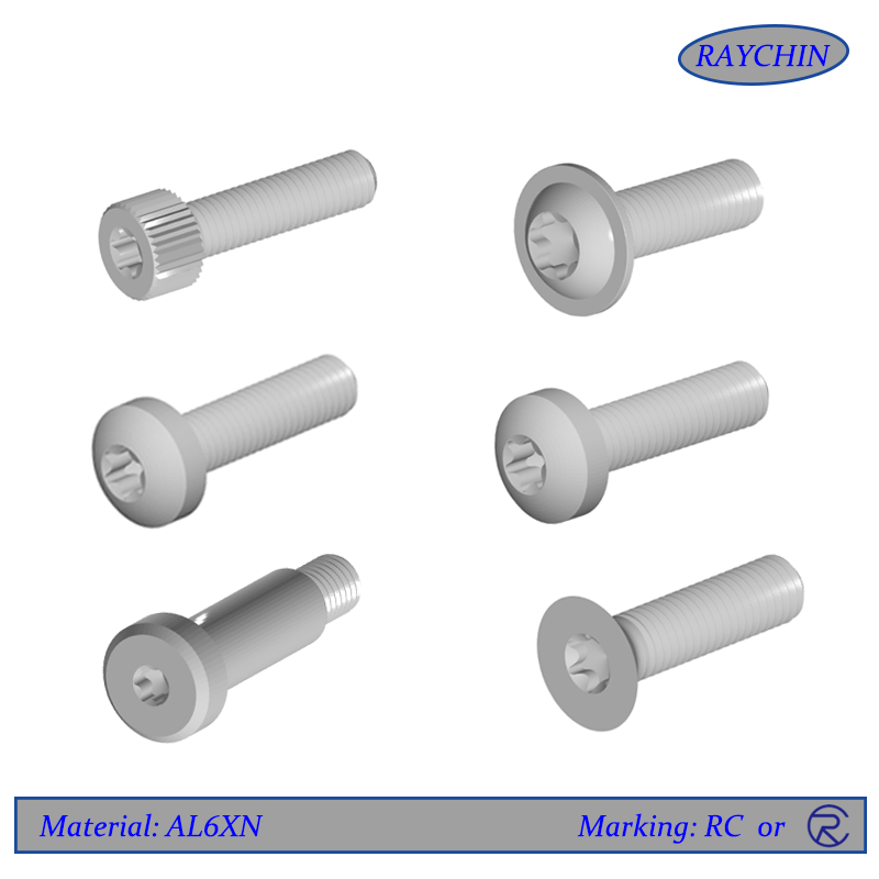 AL6XN Torx Screws