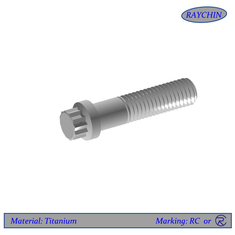 Titanium 12 Point Screws