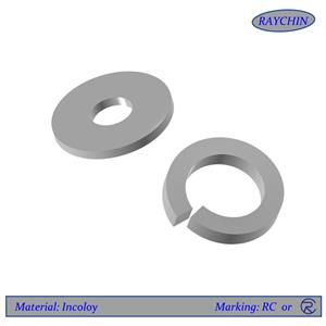 Incoloy Washers