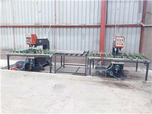 Trường hợp Việt Nam năm 2021