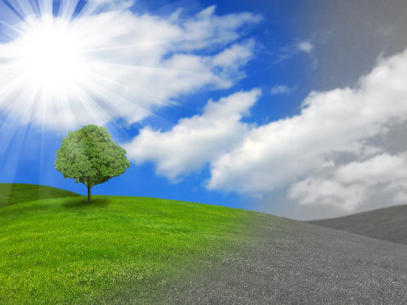 Perlindungan Lingkungan