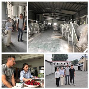 Customer visiting our company