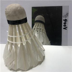 Electroplate aluminum paste