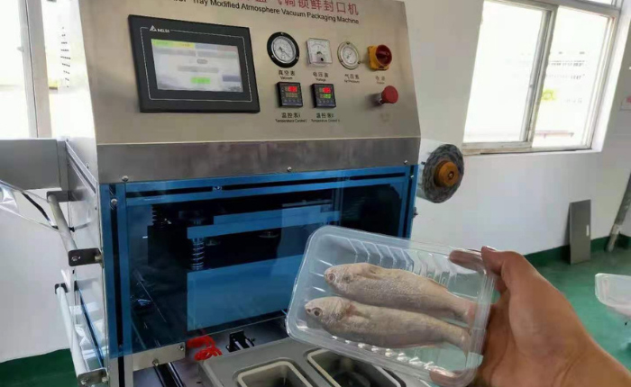 Máquina de embalagem a vácuo para frutos do mar