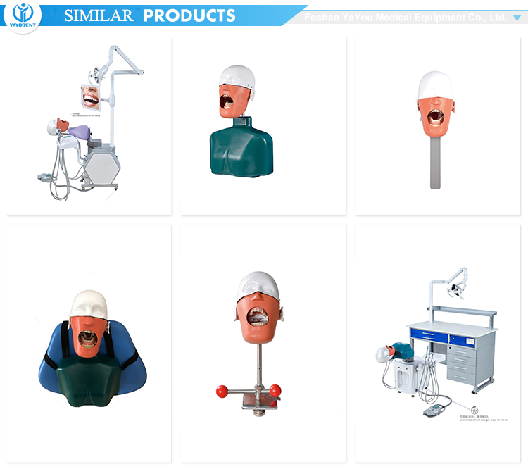 Teaching model of dental simulation head