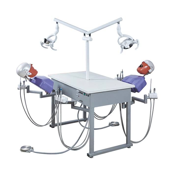 Desk Mounted Phantom Head Models Laboratory Practice